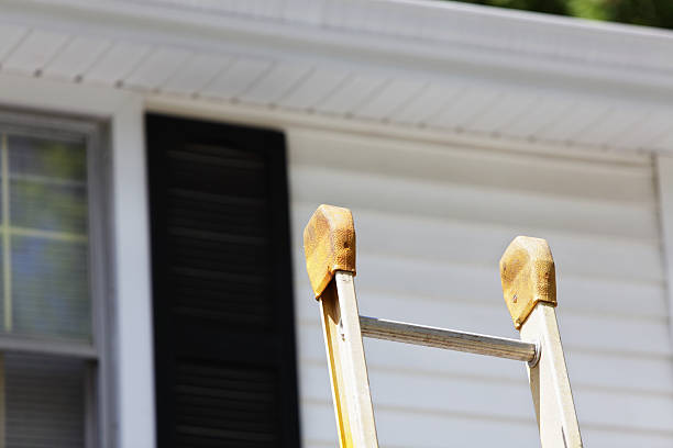 Best Custom Siding Design  in Brady, TX